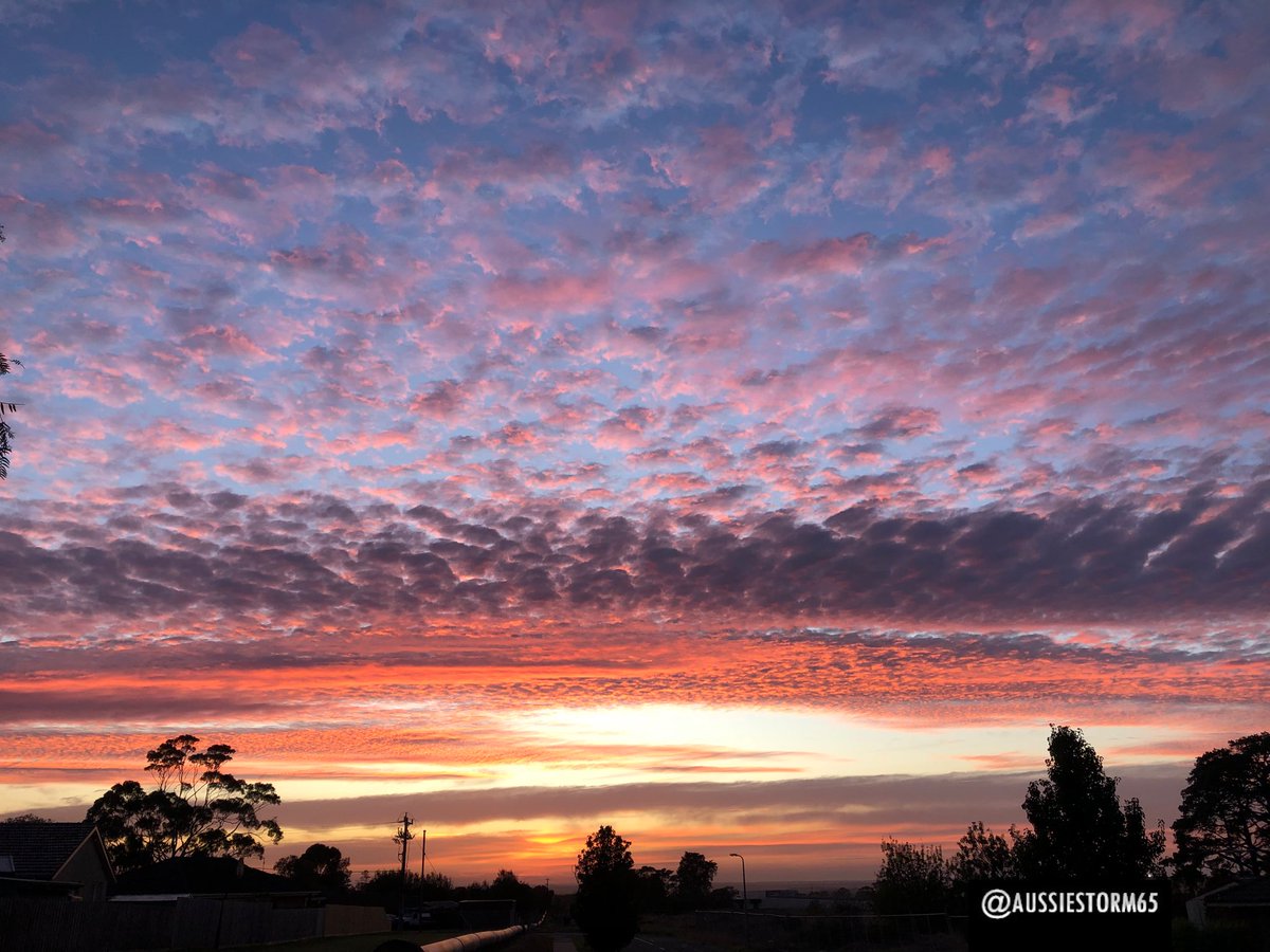 aussiestorm65's tweet image. Sunrise - Wednesday 16th April 2025

#aussiestorm65 #sunrise #VicWeather #StormHour #Geelong #nofilter