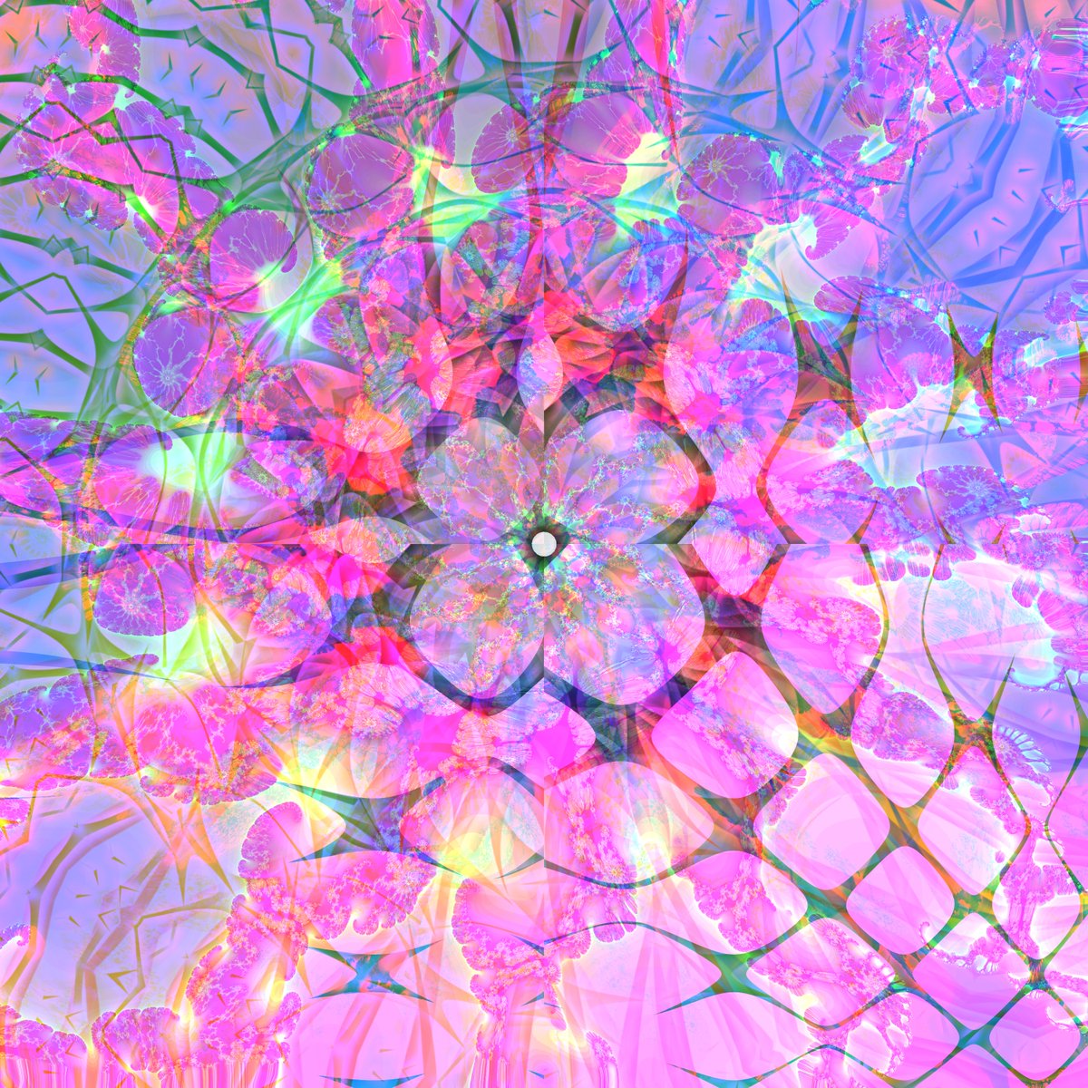 AllSeeingSkye.algo tweet media