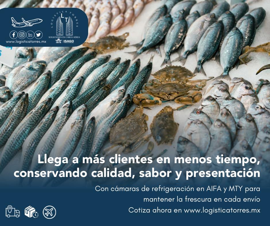 LogisticaTorres's tweet photo. ¡Del mar a tu mesa, más rápido y siempre fresco! 
Contáctanos para más información y reserva de tu envío.
Llámanos al: 5557564005 Opción Ventas
Sitio web: https://t.co/eT1PkkaBtd
.
.
#EnvíoRefrigerado #MariscosFrescos #PescadoAéreo #CadenaDeFrío #LogísticaInteligente #AIFA #MTY https://t.co/Hcwmslsr9R