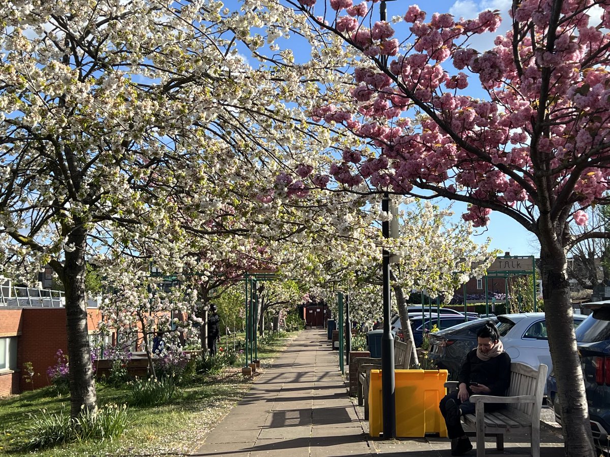 More grounds fun ⁦<a href="/geshNHS/">St George's, Epsom and St Helier</a>⁩