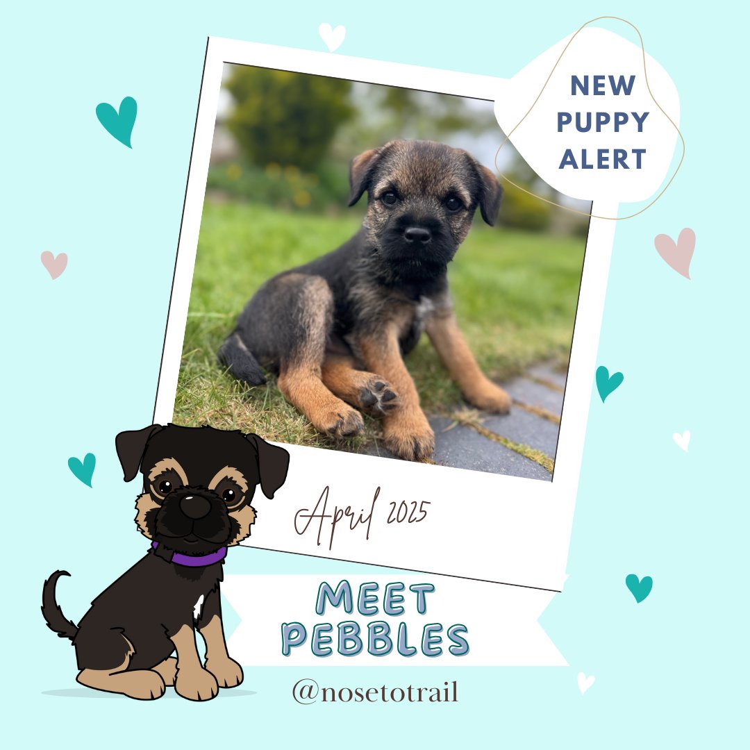 Nose to Trail tweet media