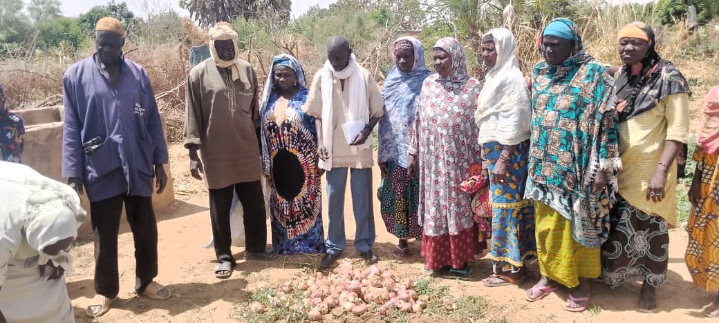 FAOMali's tweet photo. Visite de terrain à Nioro & Diéma pour la formation sur les Champs Écoles Agropastoraux dans le cadre du Projet Paysages Résilients Productifs Durables #PRPD. Constats : les cultures sont en bonne voie et des conseils ont été prodigués pour la réussite des activités. #Mali #GEF https://t.co/fFgYZV5CgU