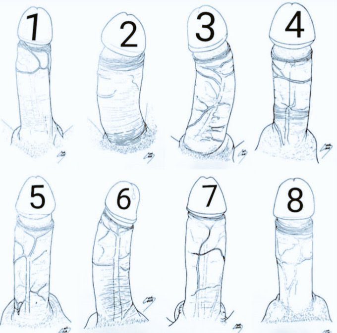 🍭 🎀𝑀𝓈 𝒫𝒶𝓇𝓀𝑒𝓇 🎀 🍭 tweet media