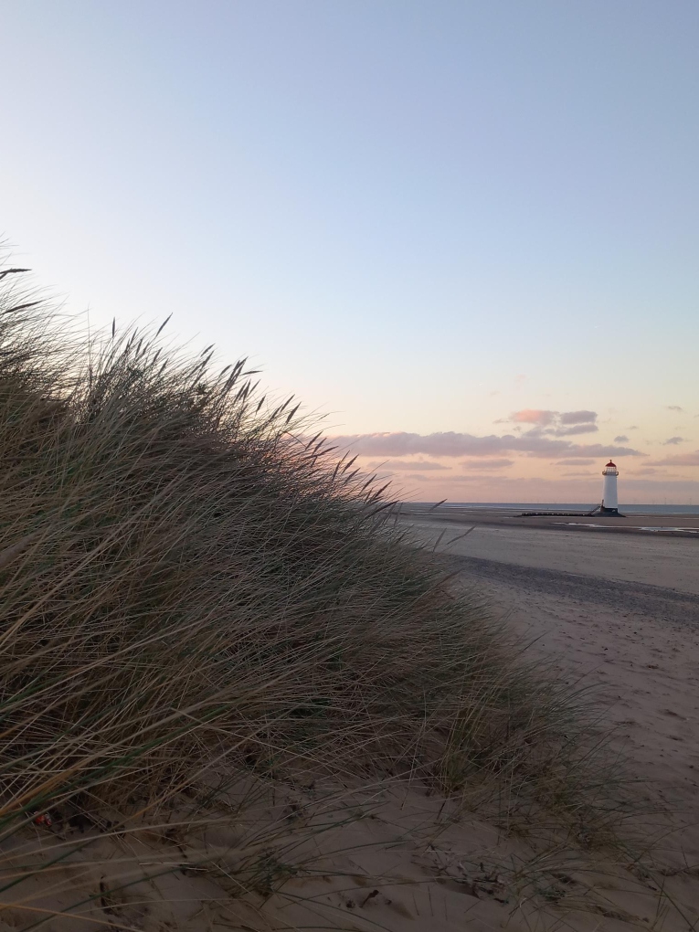 Mae gennym ni ddigonedd o lefydd i chi ymweld â nhw dros wyliau’r Pasg. O Barc Gwepra i Ddyffryn Maes Glas, Talacre a Dociau'r Fflint. 

We have plenty of places for you to visit this Easter break. From Wepre Park to Greenfield Valley, Talacre and Flint Docks.