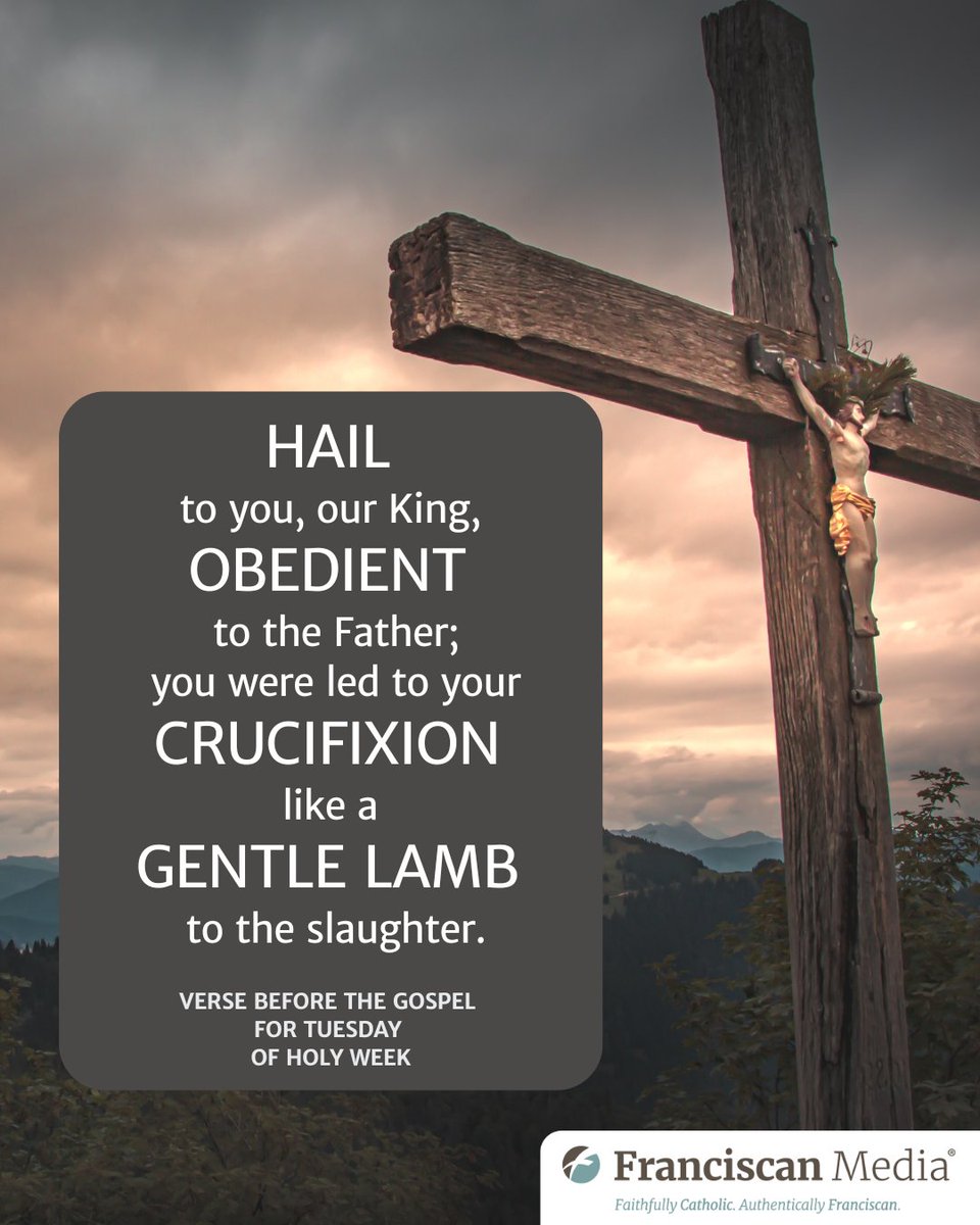 SaintOfTheDay's tweet photo. "Hail to you, our King."
Not crowned in gold, but thorns.
Not lifted in triumph, but on a cross.
In radical obedience, Jesus chose the path of love that looks like sacrifice.
Like a lamb, He did not resist—because He saw you as worth it.
#HolyWeek #TuesdayOfHolyWeek https://t.co/yO50h88jHG