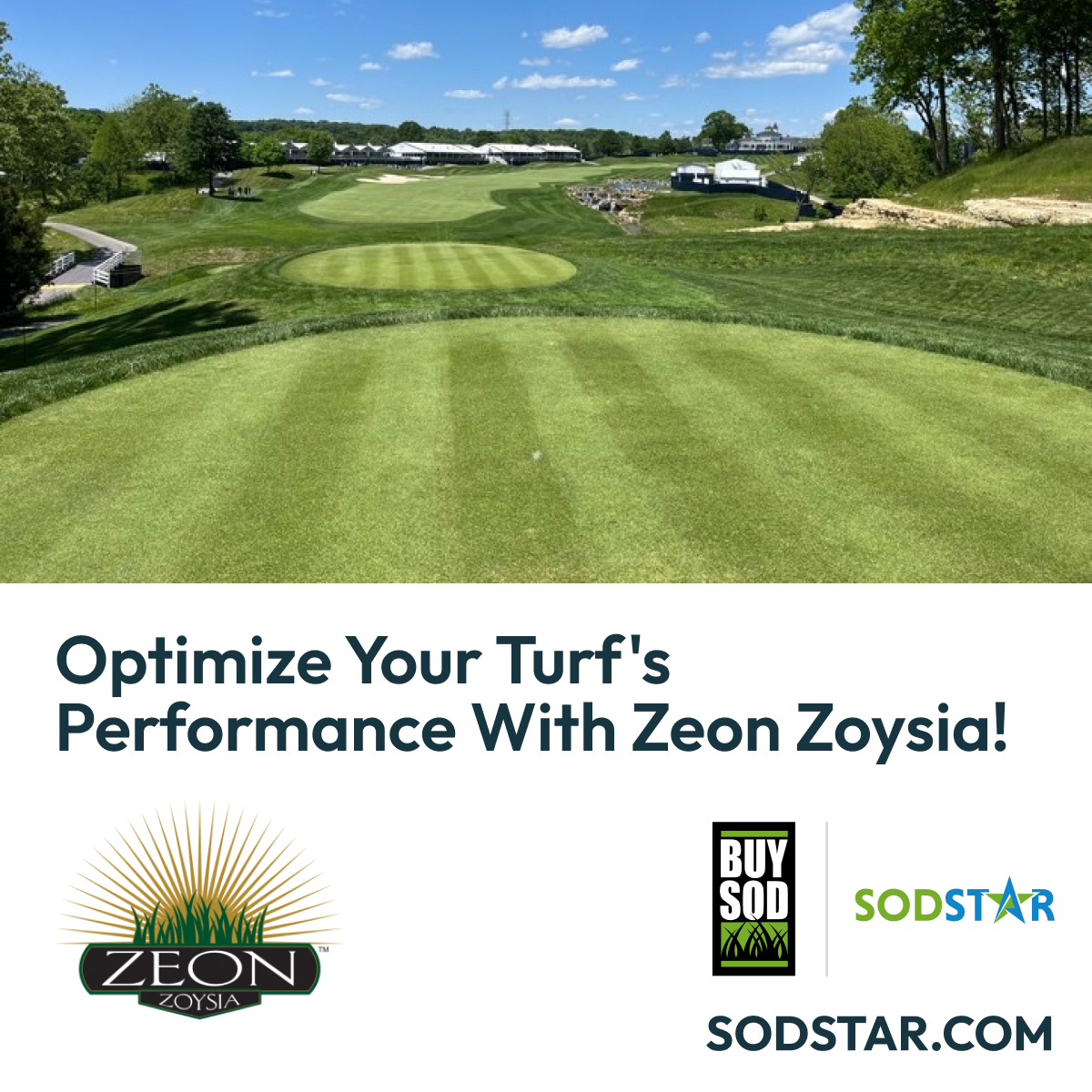 Optimize your turf's performance with Zeon Zoysia! This blue-tag certified sod varietal boasts rapid establishment and deep rooting...Which means reduced irrigation requirements and enhanced durability under foot traffic!

Connect with SodStarPRO.com (formerly BuySod) to