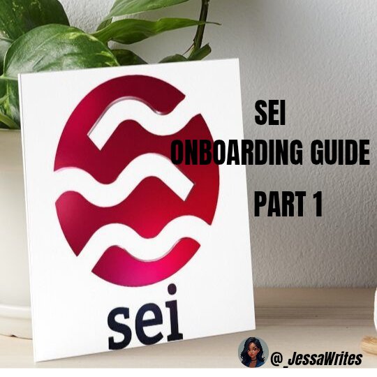 Getting into a blockchain can be confusing...
You're not sure which area to explore or where to start.

I've been there too.
I was once confused, and that's why I wouldn't want you to feel lost getting into the SEI ecosystem.

Click for easy onboarding into SEI 🧵👇