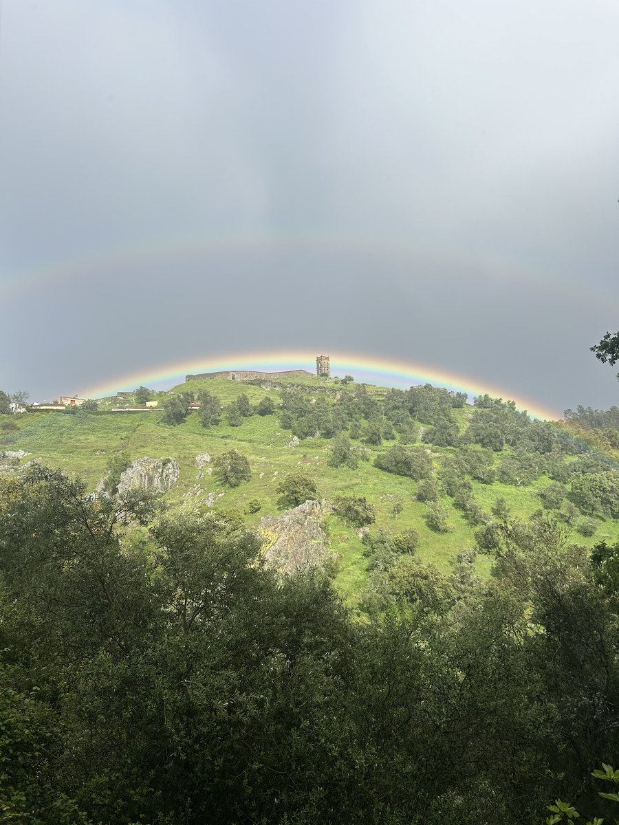MeteoAlmonaster tweet media