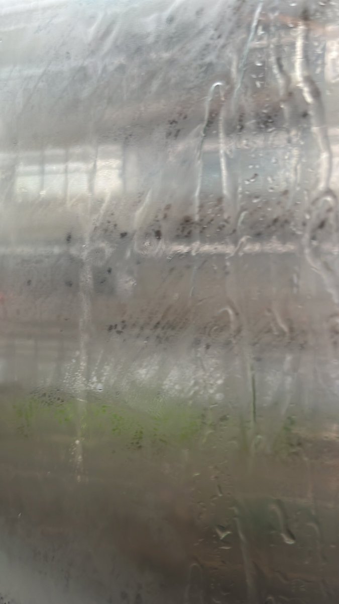 Anita Two Sheds Anderson tweet media