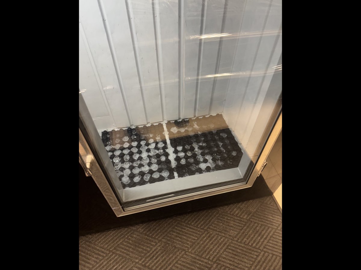 Political freedom of speech is needed tweet media