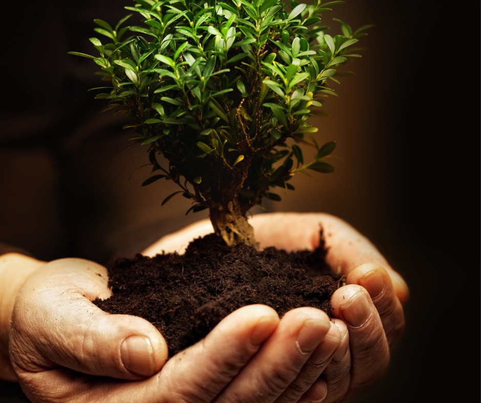 We don't just 'fix stuff' - we work with our clients strategically to ensure they have the systems in place both for now AND in the future. Solutions that aid their growth and grow with them.
#LucidGroup #ManagedIT #ITSupport #TechnologySolutions