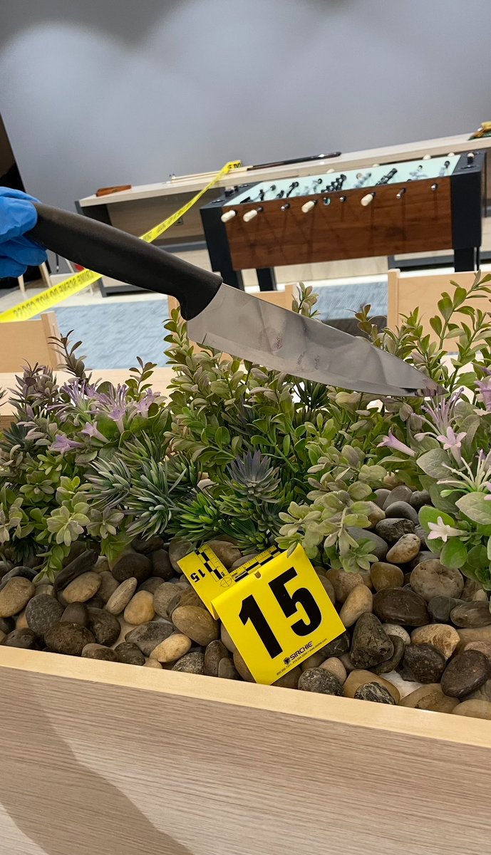 تخيل إنك تقدر تكشف هوية شخص من شعرة وحدة، أو تساعد بتحديد وقت الجريمة من أثر دم! 🩸
هذا بالضبط شغل اخصائي الأحياء الجنائية، الي يهتم بتحليل الـDNA لتحديد الهوية، ويخلّي الأدلة البيولوجية تتكلم وتكشف مين، وكيف، ووين حصلت الجريمة ! 🕵🏻