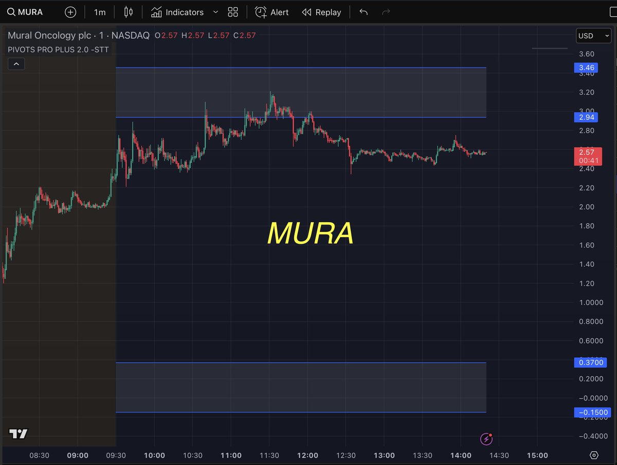 scriptstotrade's tweet photo. PIVOTS PRO PLUS delivering as always — precision levels, powerful signals, and confidence in every move 🔥
$VERV $MURA $RZLV https://t.co/DmsiOu3UDc