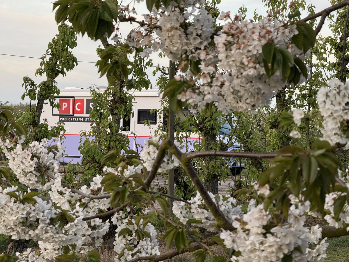 ProCyclingStats.com (@procyclingstats) on Twitter photo #RVL25
Wow, how beautiful is <a href="/LimburgBe/">Provincie Limburg</a> now with the beautiful flowering fruit trees
You can enjoy them as well tomorrow during the live coverage of <a href="/RondeLimburg/">Ronde van Limburg</a> of <a href="/FlandersClassic/">Flanders Classics</a>
Check our PCS LIVE STATS #WhereElse preview
procyclingstats.com/race/ronde-van… #RVL25
Wow, how beautiful is <a href="/LimburgBe/">Provincie Limburg</a> now with the beautiful flowering fruit trees
You can enjoy them as well tomorrow during the live coverage of <a href="/RondeLimburg/">Ronde van Limburg</a> of <a href="/FlandersClassic/">Flanders Classics</a>
Check our PCS LIVE STATS #WhereElse preview
procyclingstats.com/race/ronde-van…