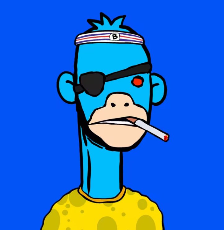 Gm

This lovely BoRk is just chilling on the floor!

-

Be BoRk