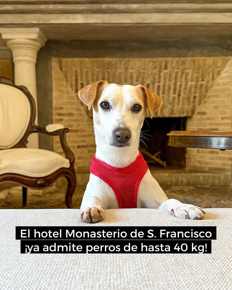 Pipper on tour tweet media