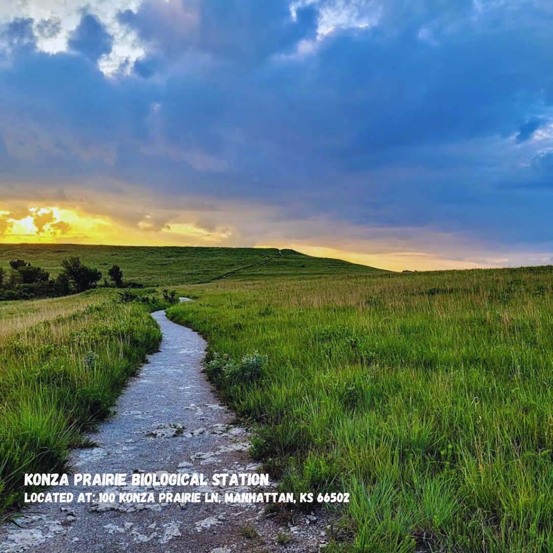 johnsfamilyteam's tweet photo. Spring is here, and it’s the perfect time to get outside! Whether you're into peaceful walks, picnic vibes, or just chasing the sunshine — here are some of our favorite parks to explore this season. 
Swipe through to find your next weekend spot!
#SpringInKansas #KSParks https://t.co/W2pED9SRAS