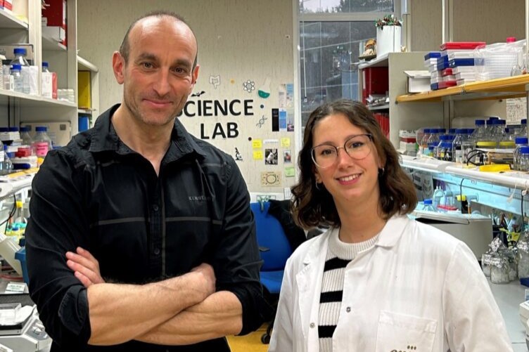 New from María del Mar Rigual, Dr. <a href="/NabilDjouder/">Nabil Djouder</a>, and a team at <a href="/CNIOStopCancer/">CNIO Stop Cancer</a>: bone marrow-derived #macrophages use glutamate to enhance liver regeneration.

📝 <a href="/Nature/">nature</a>: go.nature.com/3FPdIU9
🎤: bit.ly/3RPyiGx