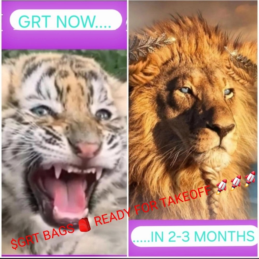 Alpha_Infinity1's tweet photo. Don't be #Tarrified: ROTATE 2 LOW #RATE ENVIRONMENT & #STAGFLATION WILL PUT #SMALLCAPS ON DEMAND, CAVEAT REV-GENERATING #TECH-CENTRIC, REALWORLD ADOPTED #PROJECTS WILL Rx #INVESTMENT #NASDAQ #stockmarketcrash #SB19 #JENCHELLA2025 #Cripto
#CryptoAI #crypto #FOMO #Trending #dolar https://t.co/YnJ0kd8olI