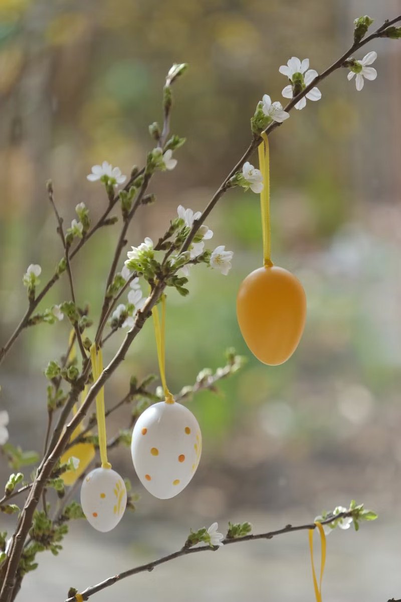 Teach St Mary's (@teachstmarys) on Twitter photo Wishing all of our <a href="/TeachStMarys/">Teach St Mary's</a> <a href="/YourStMarys/">St Mary's University</a> students and partnership school colleagues a joyful Easter break! Wishing all of our <a href="/TeachStMarys/">Teach St Mary's</a> <a href="/YourStMarys/">St Mary's University</a> students and partnership school colleagues a joyful Easter break!