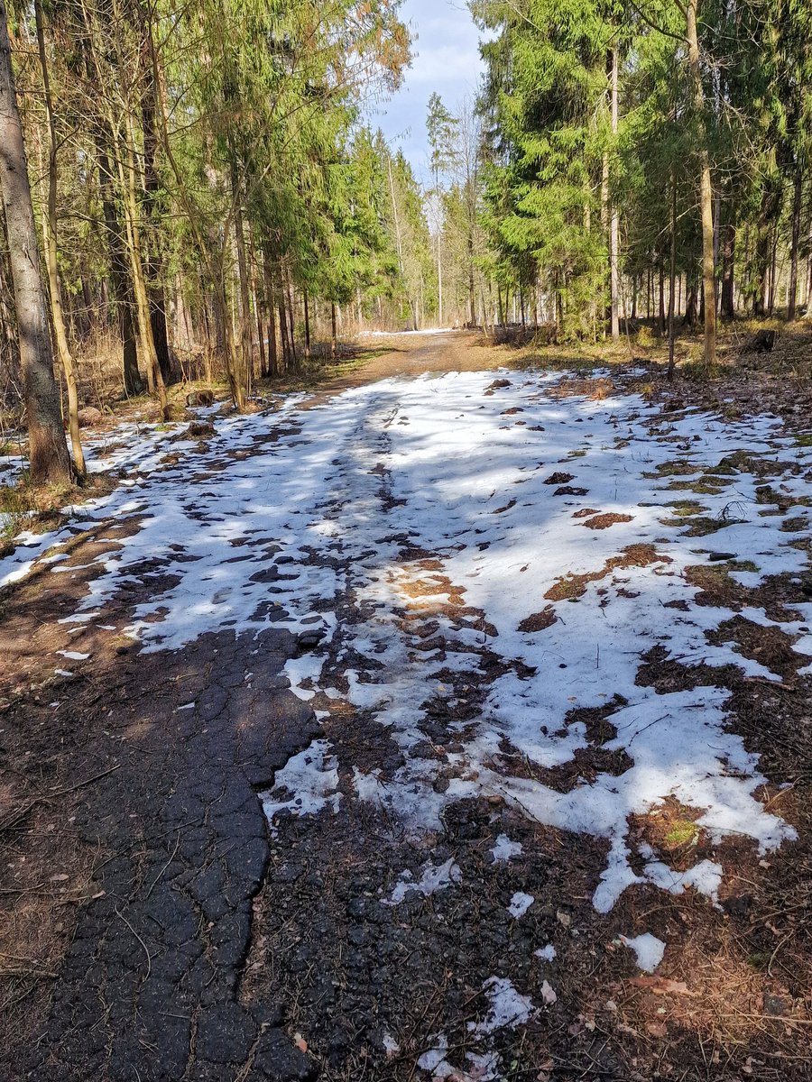 В Москве и Одинцово уже сухо, а чуть дальше в Подмосковье в лесу снег кое-где.