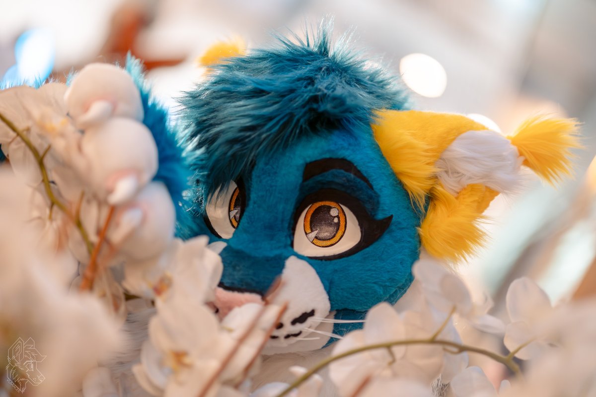 Did someone say head pats? 🌔〰️🌖

📸 <a href="/vlaaacek/">VlaceK</a>