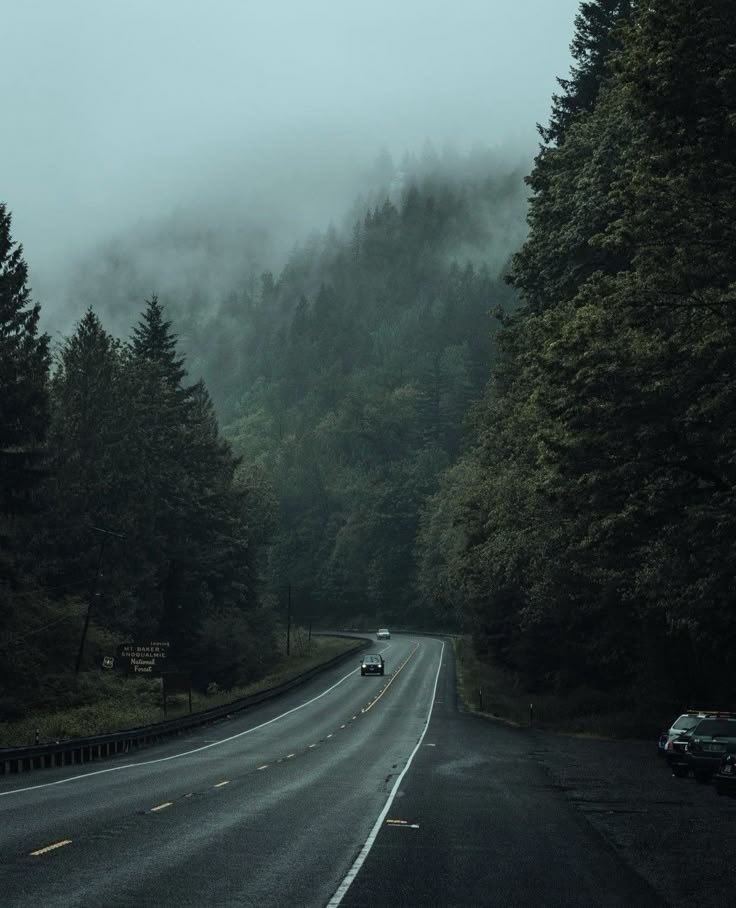 salt (@ancilladominii) on Twitter photo 