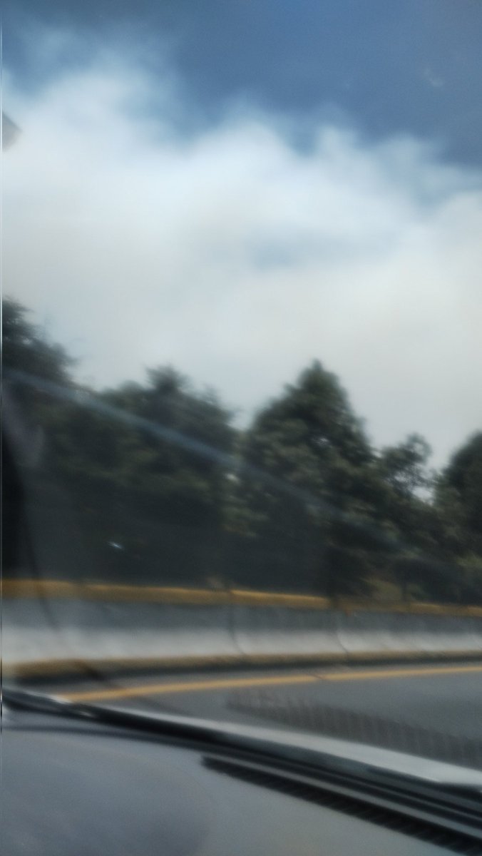 veronica maldonado tweet media