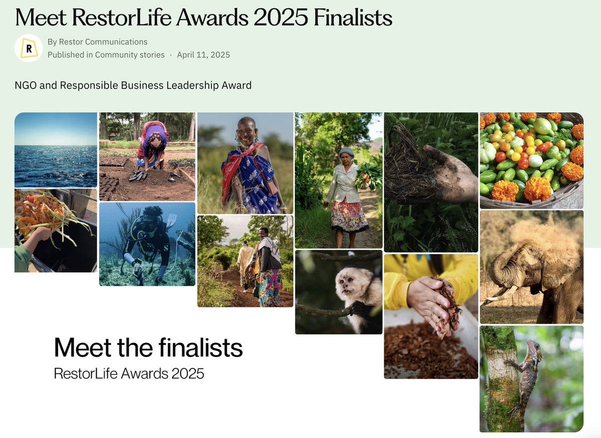 clean_water4all's tweet photo. Huge shoutout to our partner @SayTrees for being named a finalist in the #RestorLife Awards! 🌱 Chosen from over 1,100 global applicants, their impact on restoration is being recognized! We appreciate their outstanding work!🌍 #Reforestation @Restor_eco https://t.co/WHvykACTXs https://t.co/7DTYBUB9qN