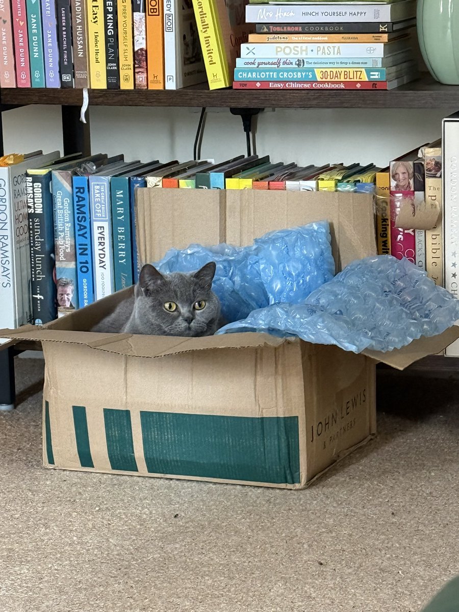 El_McGraffin's tweet photo. @JohnLewisRetail the cat approves this box https://t.co/r5yilcYXvI