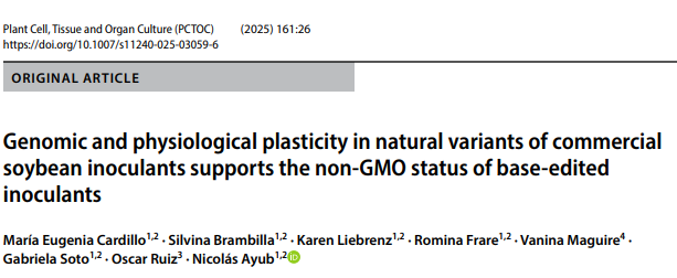 AgroedicionAR's tweet photo. Ever heard of bacteria doing CRISPR on themselves? 🦠🔧🧬
We’re thrilled to share our latest #IGMB paper! 🎉
Soybean inoculant bacteria naturally edit their own DNA—no lab needed! 😲 What does that mean for regulation? ⚖
Read more 👉https://t.co/8SmSnCrxfz 

#GeneEditing #PGPR https://t.co/0LiCvT01NR