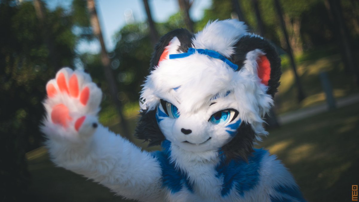 #FursuitEveryday 
“nothing is infinite, but everything has its own destiny”