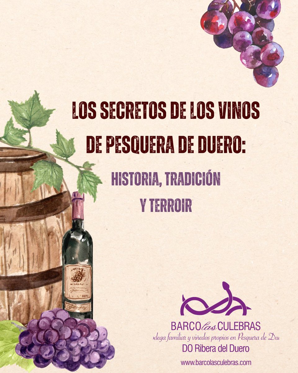 🍇🍷 La historia del vino de Pesquera de Duero, donde se ubican los viñedos y la bodega Barco las Culebras, se remonta a tiempos ancestrales. Te contamos todo sobre su historia, tradición y terroir 🔗 barcolasculebras.com/pesquera-de-du…

#vino #vinotinto #riberadelduero #vinosdepesquera