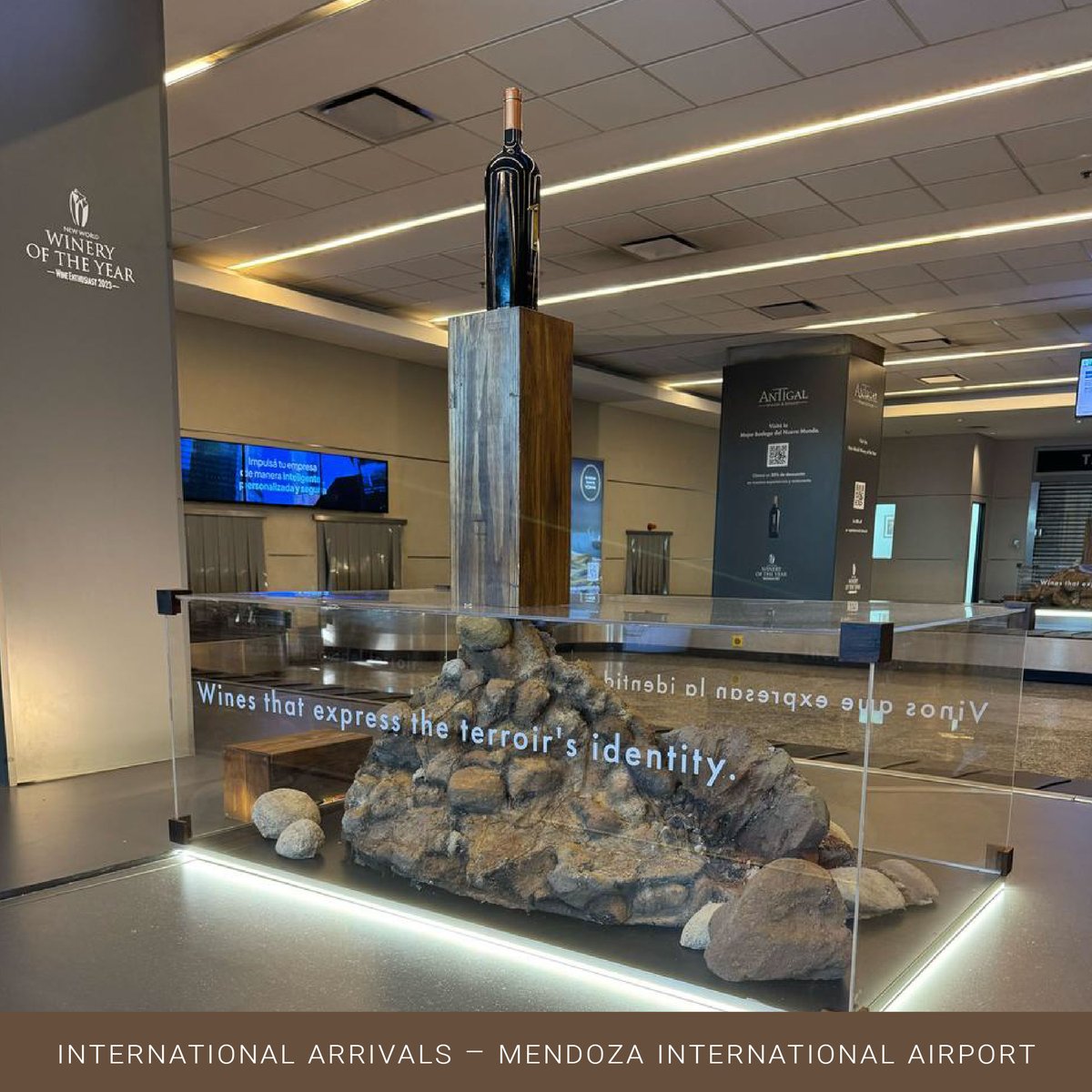 ✈️ ¡Nuestra marca llegó a lo más alto!
Estamos orgullosos de compartir una nueva acción de branding desarrollada por nuestro equipo de Marketing: la presencia de nuestra marca en el área de arribos internacionales del Aeropuerto de Mendoza - Argentina