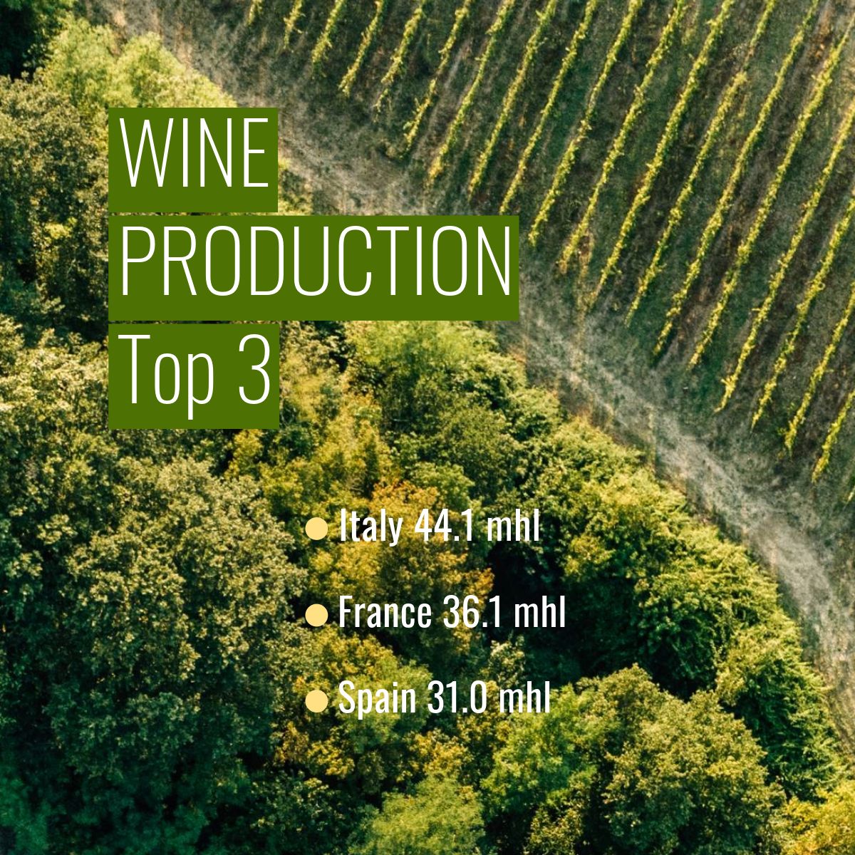 🍇 The OIV reinforced the importance of multilateral cooperation and adaptation to changing conditions, as global data on the wine sector in 2024 was released today at its online Press Conference. 

Consult the press files here: buff.ly/zqCKlj0 #winesector #vineandwine