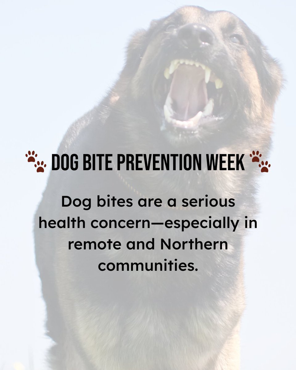 Veterinarians Without Borders tweet media