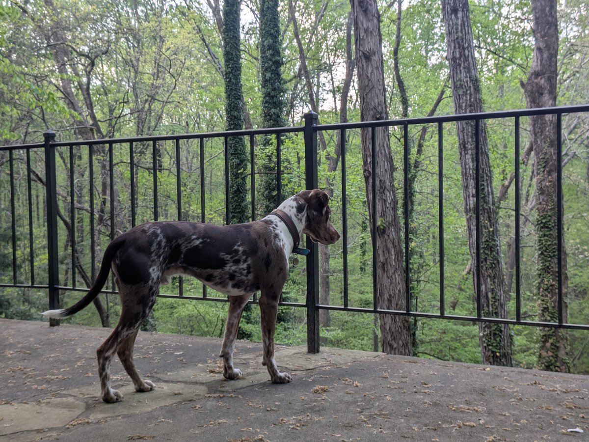 Jarrod Doherty tweet media