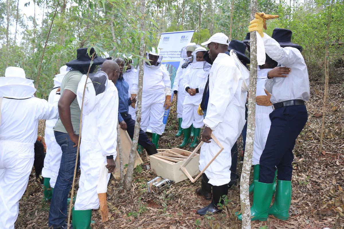 UNESCO_rwanda Au projet #WomenForBees aide par l’ <a href="/UNESCO/">UNESCO 🏛️ #Education #Sciences #Culture 🇺🇳</a>, <a href="/UNESCO_MAB/">UNESCO Biodiversity</a> <a href="/UnescoEast/">UNESCO Eastern Africa</a> les femmes apicultrices de <a href="/RutsiroDistrict/">Rutsiro District</a> parti <a href="/Gishwati_Mukura/">Gishwati-Mukura National Park</a> <a href="/RDBrwanda/">Rwanda Development Board</a>  ont entrepris un voyage d’étude à <a href="/KireheDistrict/">Kirehe District</a> visant à les aider à accroître leurs connaissances en apiculture