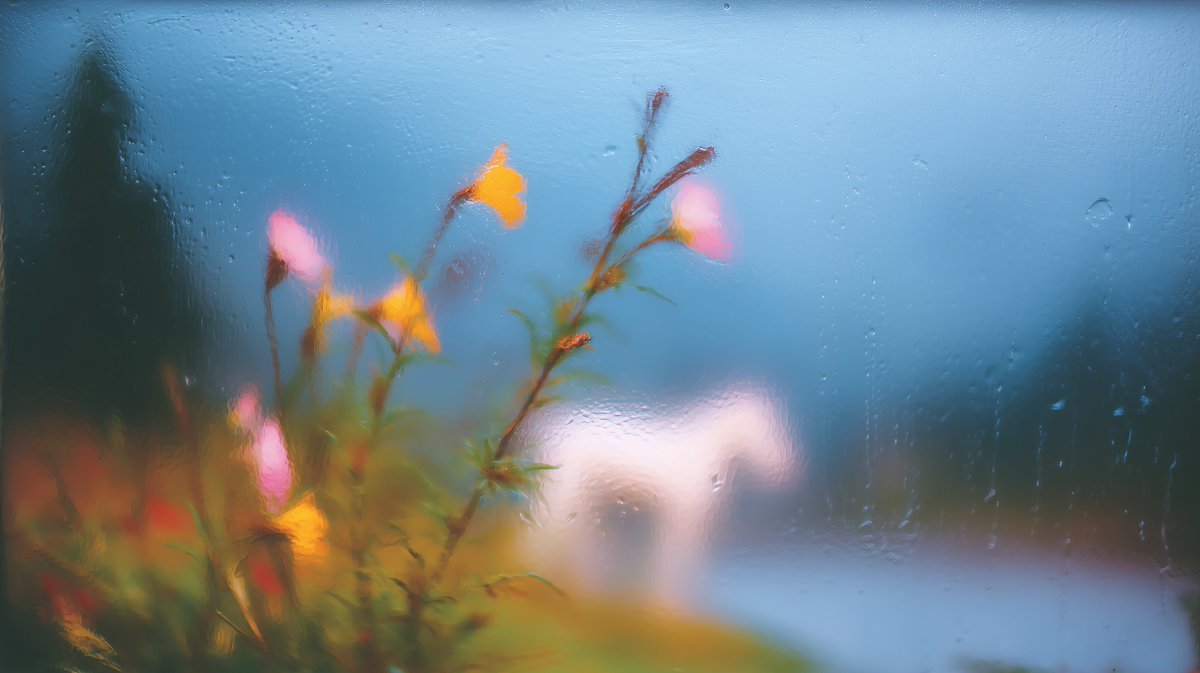 nickfloats's tweet image. more blending in --v 7, this time playing with the idea of impressionism captured through a rain soaked windows
