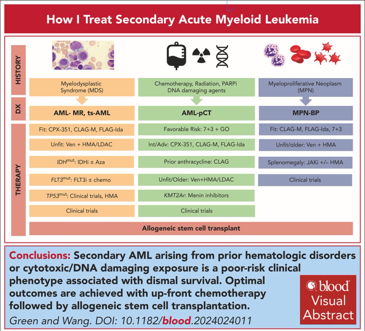 How I Treat Secondary AML (sAML)
Based on: Green and Wang, Blood, 2024
DOI: 10.1182/blood.2024024011

⸻

🧬 Secondary AML = poor-risk phenotype
Origins:
•🔬 MDS → AML-MR / ts-AML
•☢️ Chemo/Radiation/PARPi → AML-pCT
•🧪 MPN → MPN-BP

🧪 Fit patients
•AML-MR: CPX-351,