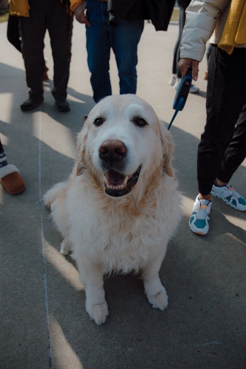 We’ll see you tonight at Mizzou Softball Stadium for @mizzousoftball’s Bark at the Park 🐾 

#MIZ 🐯