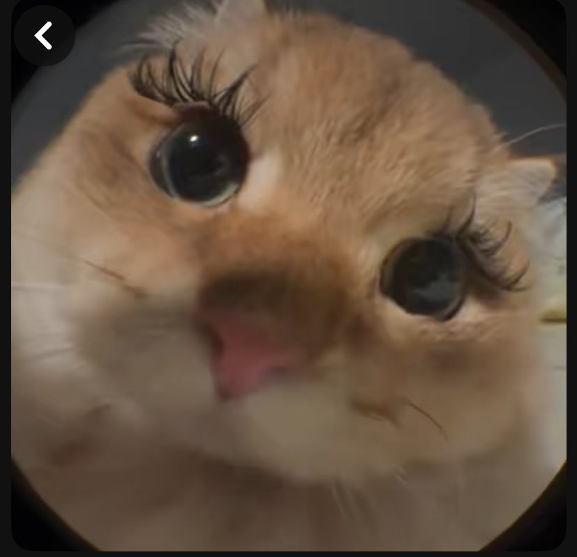 Manita yalan söylerken yüzündeki ifade