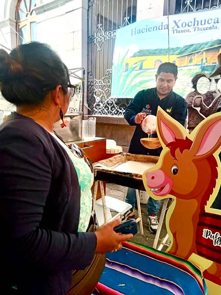 ReynaXochipaMo's tweet photo. #Chocolate 🍫 y #frijol 🫘 del #bienestar.
¿Por qué no #pulque del #bienestar 🥛?
#octli
#pulque
#HaciendaXochuca https://t.co/X0Ae30jMrR