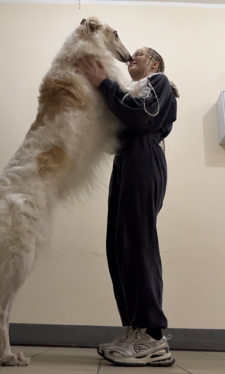 может быть мне тоже попробовать есть его корм?