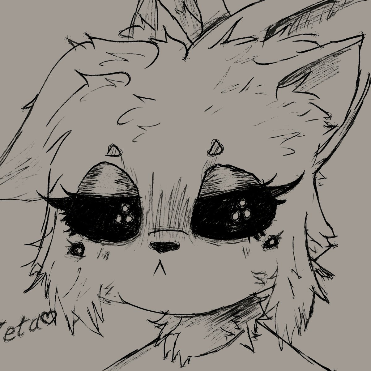 Zeta

#oc #furry