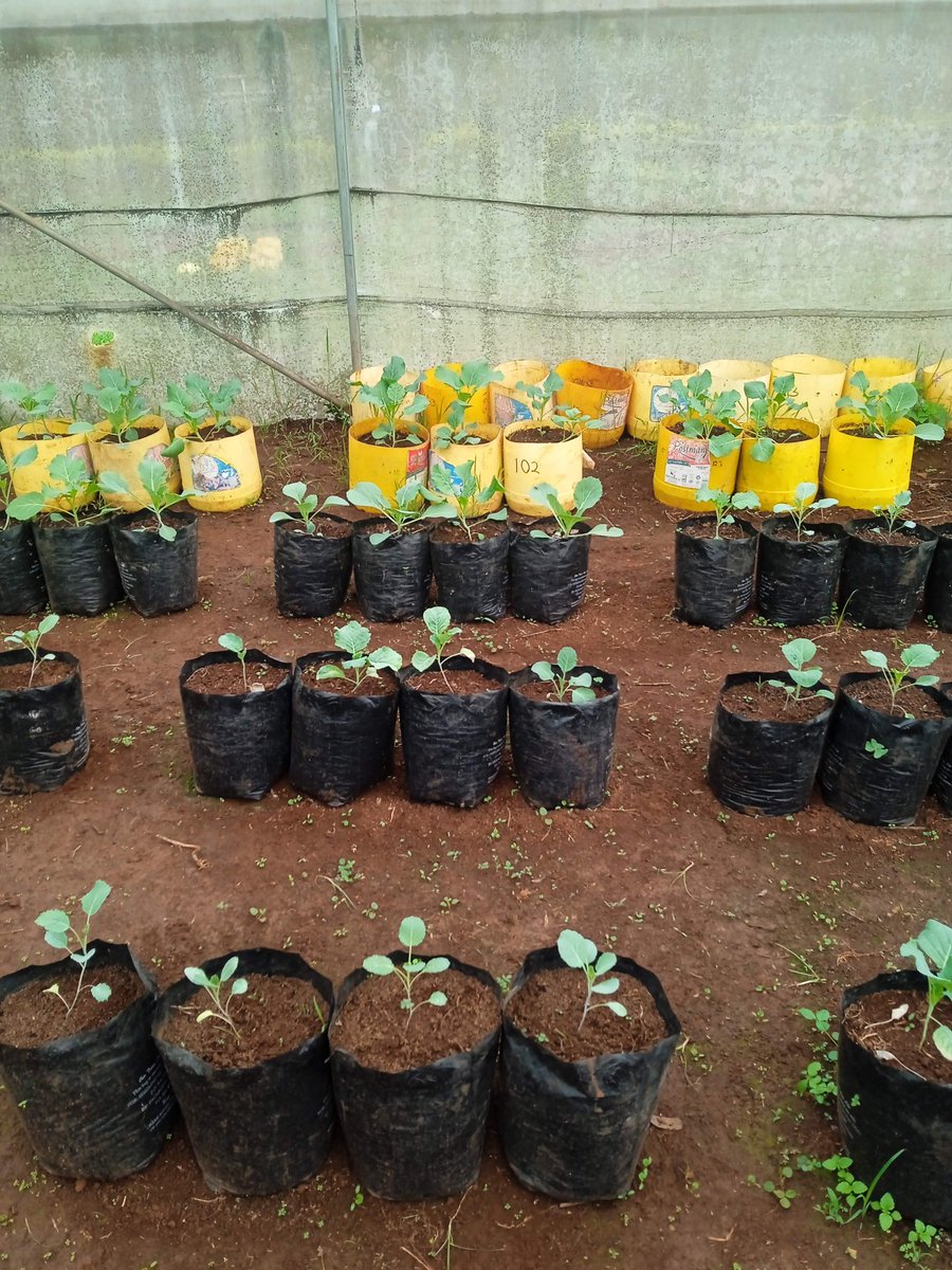 Opinions?#LaCasaDeLosFamososCol2