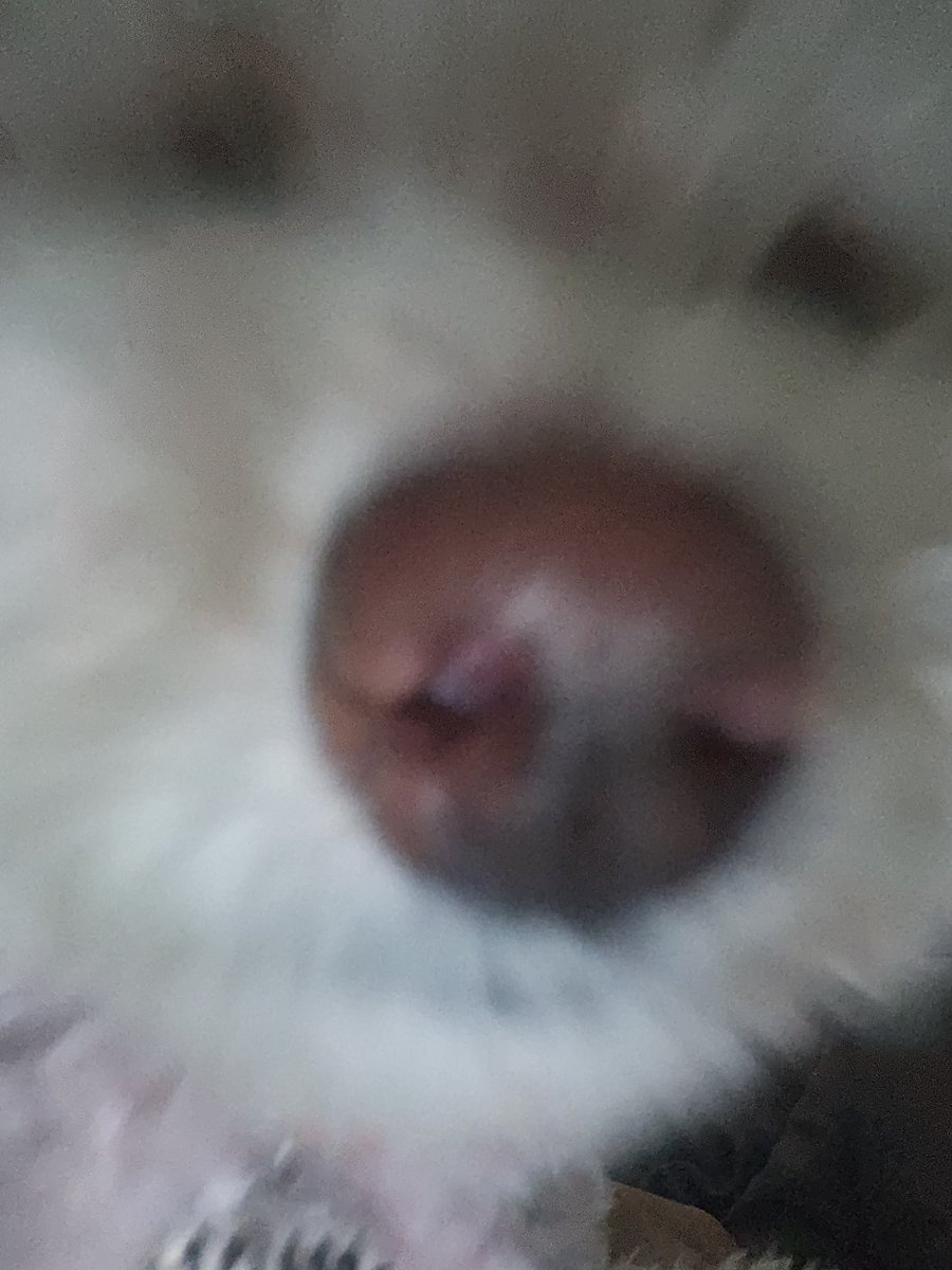 ㅇㅖ‼️‼️‼️‼️‼️