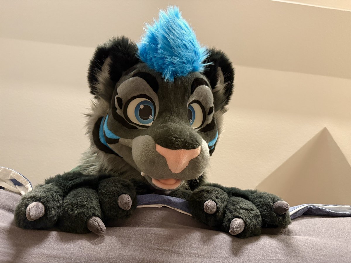 Do you like to play ? 👀

📸: <a href="/CaidaTigre/">CaidaTigre</a> ❤️