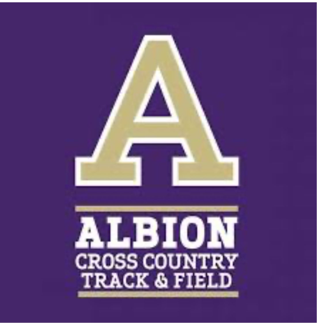 BreckinWise2026's tweet image. Thank you coach Coleman and @AlbionXCTF for having me for a visit today! I had a great time learning about the program and school. 
@TrojanStrength @TraverseBoys @TCREsports @JMcMurren00