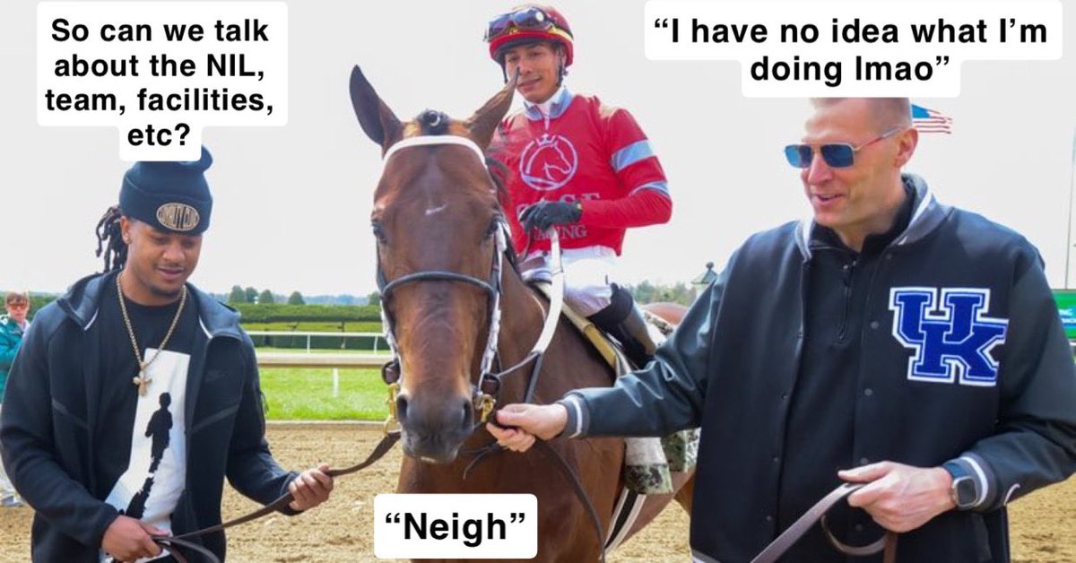 Angry Cardinal 🐦‍🔥 (@angryville) on Twitter photo 